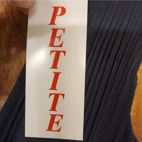 Betsy And Adam V Neck  Embroidered Gown Size 2P NWT - Picture 9 of 11